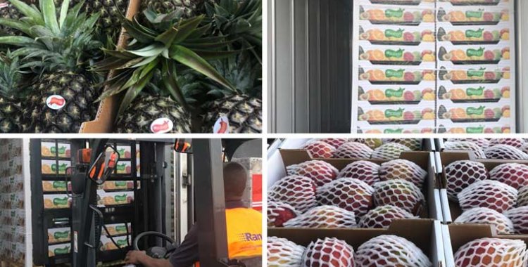 Rangel assegura transporte de fruta de Angola para Portugal