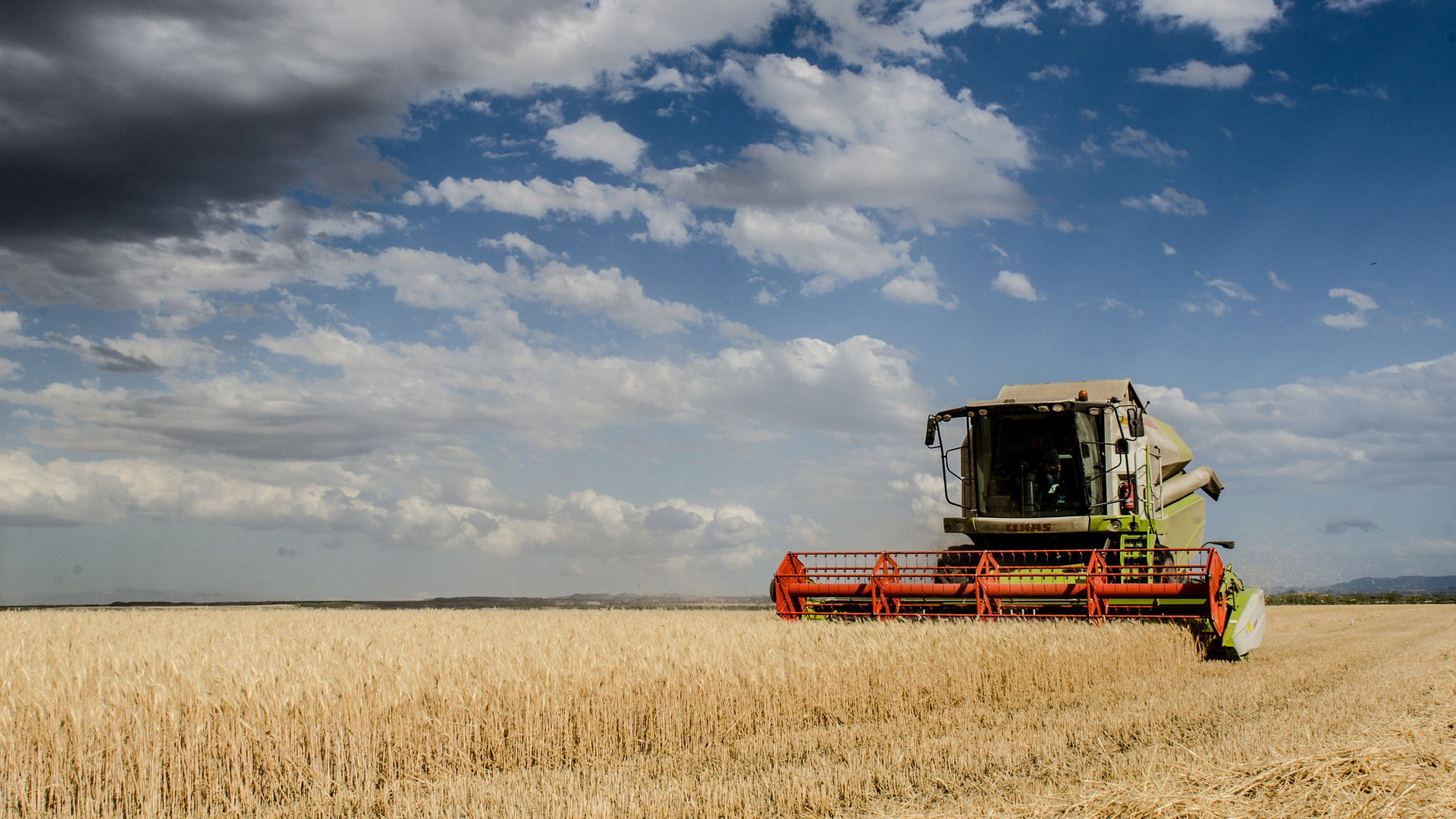 O balanço da indústria agro-alimentar sob o Covid-19