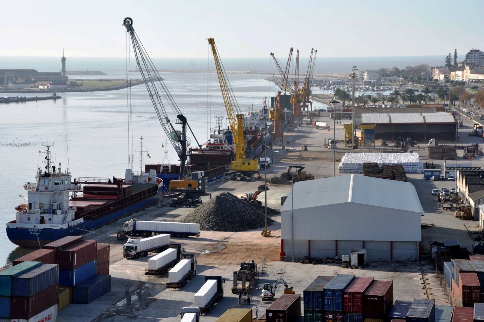 Janela Única Logística arrancou no Porto da Figueira da Foz