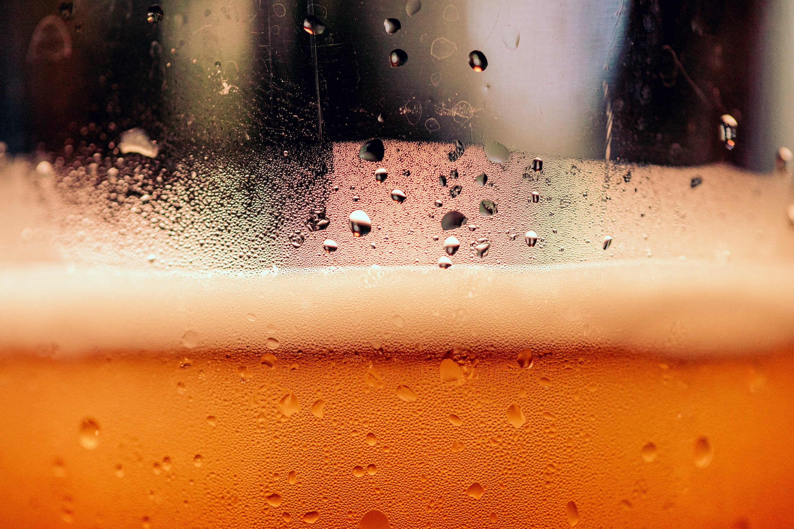 Cervejeiros de Portugal apelam à implementação urgente de medidas de apoio ao sector