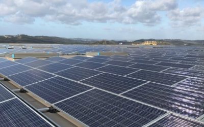 Energias alternativas: Jerónimo Martins investe 1,2 milhões em Valongo