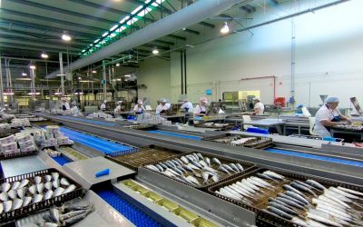 Poveira investe 20 milhões de euros em nova fábrica na Póvoa de Varzim