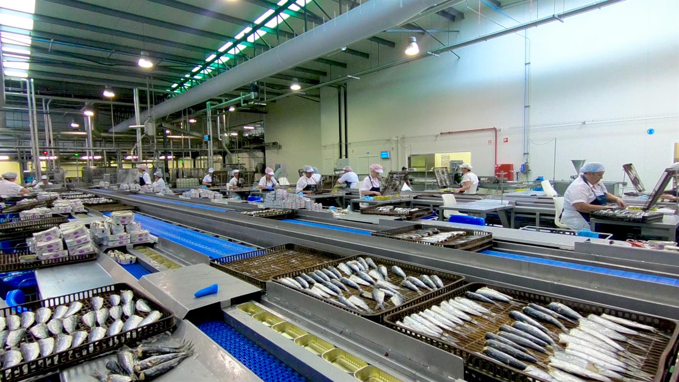 Poveira investe 20 milhões de euros em nova fábrica na Póvoa de Varzim