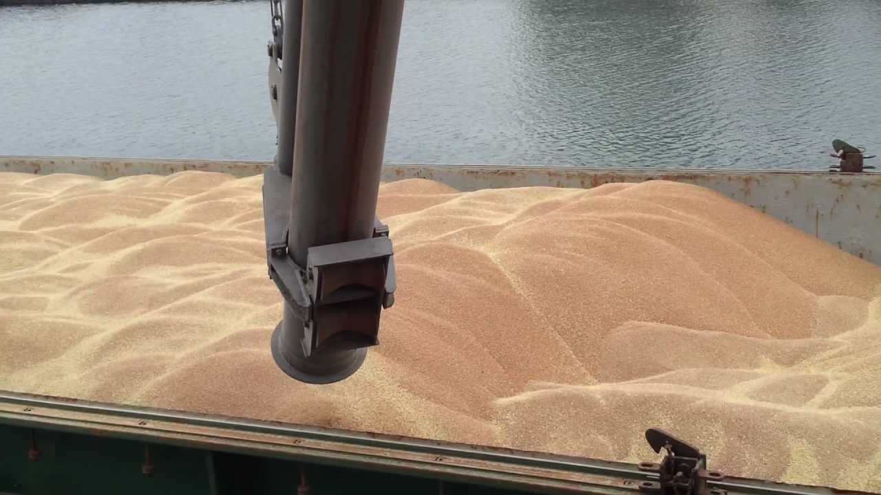 Garland movimenta 55,2 mil toneladas de trigo em dois meses