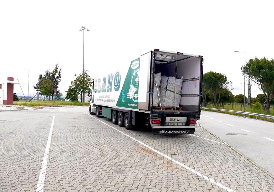 OLANO transporta mais de 2.500 toneladas de cenoura do Ribatejo para França