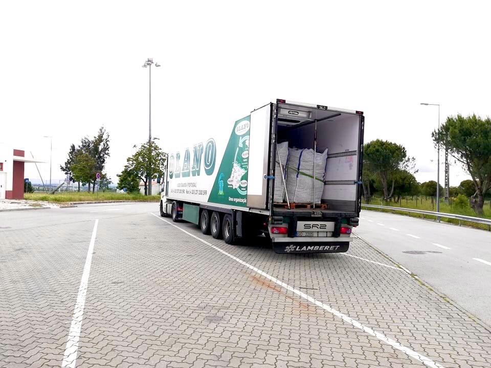 OLANO transporta mais de 2.500 toneladas de cenoura do Ribatejo para França