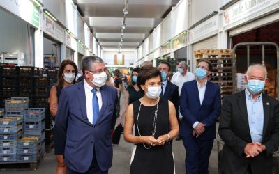 MAC anuncia novo interposto perante a resiliência da agricultura frente à pandemia