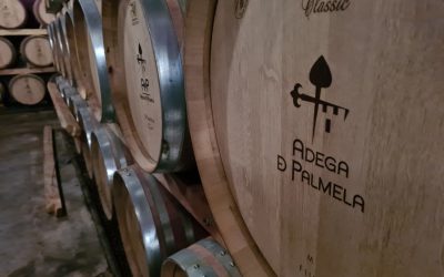 Adega Cooperativa de Palmela celebra 65 anos com novos investimentos