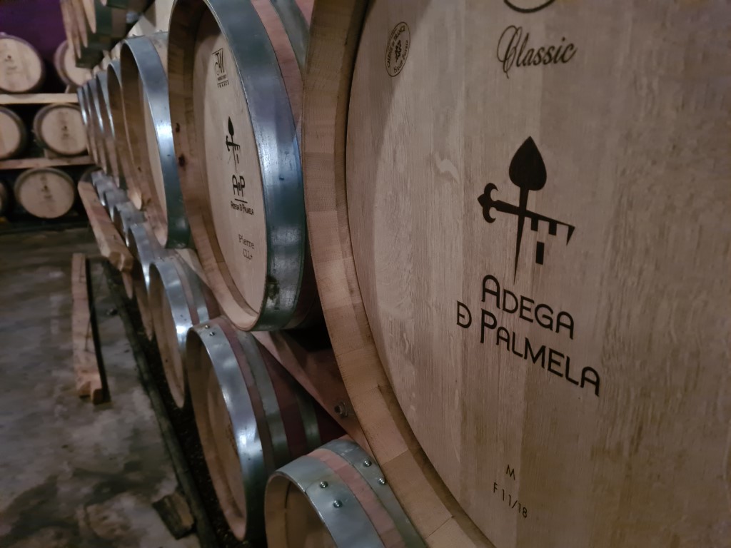 Adega Cooperativa de Palmela celebra 65 anos com novos investimentos