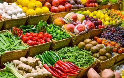 Loures INOVA abre candidaturas para acelerador de negócios inovadores no Cluster Agro-alimentar e Logística