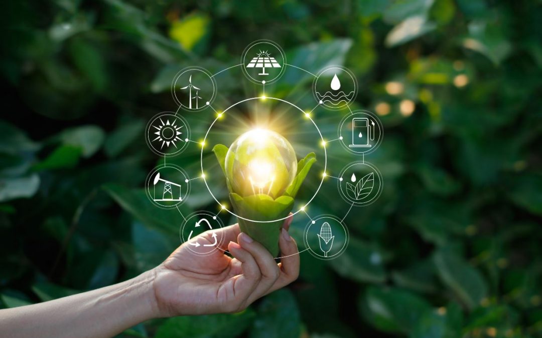 Desenvolvimento sustentável é visto como obrigação e não um investimento no futuro
