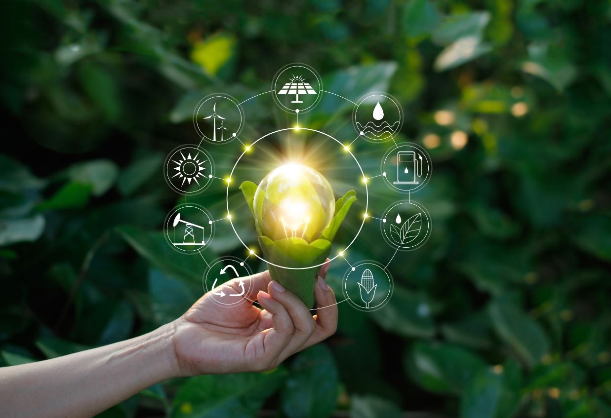 Desenvolvimento sustentável é visto como obrigação e não um investimento no futuro