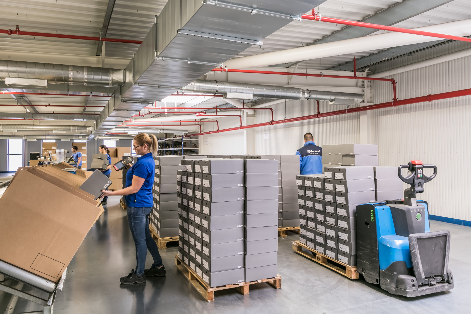Garland aumenta 125% as expedições de e-commerce e avança para novo centro logístico