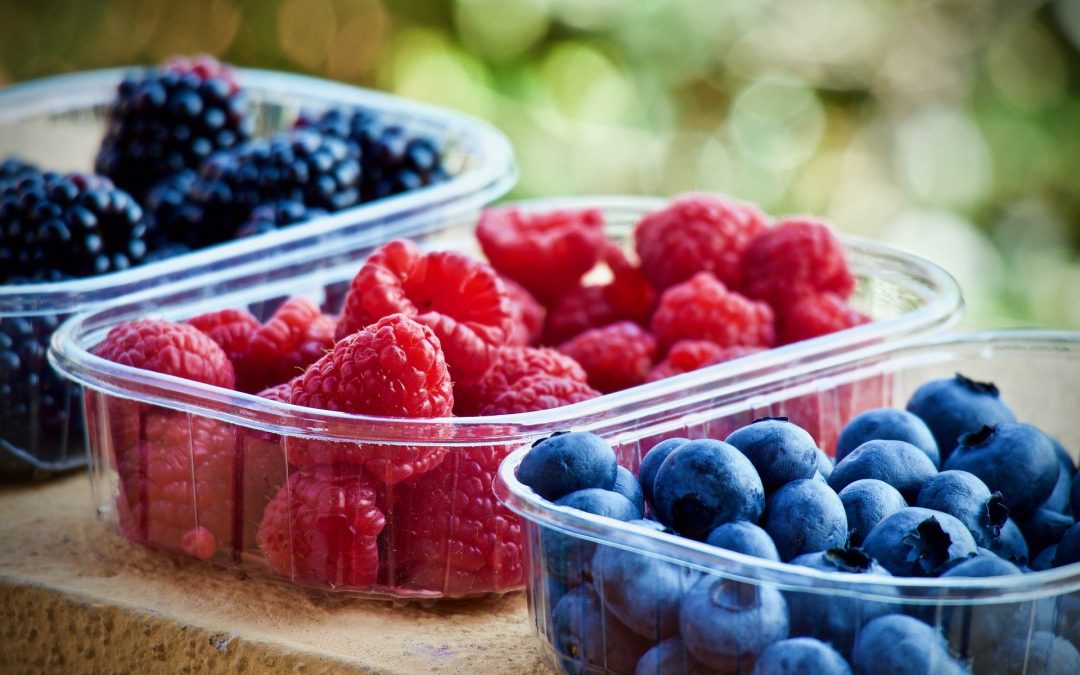 The Summer Berry reformula a sua estratégia e enfrenta a pandemia