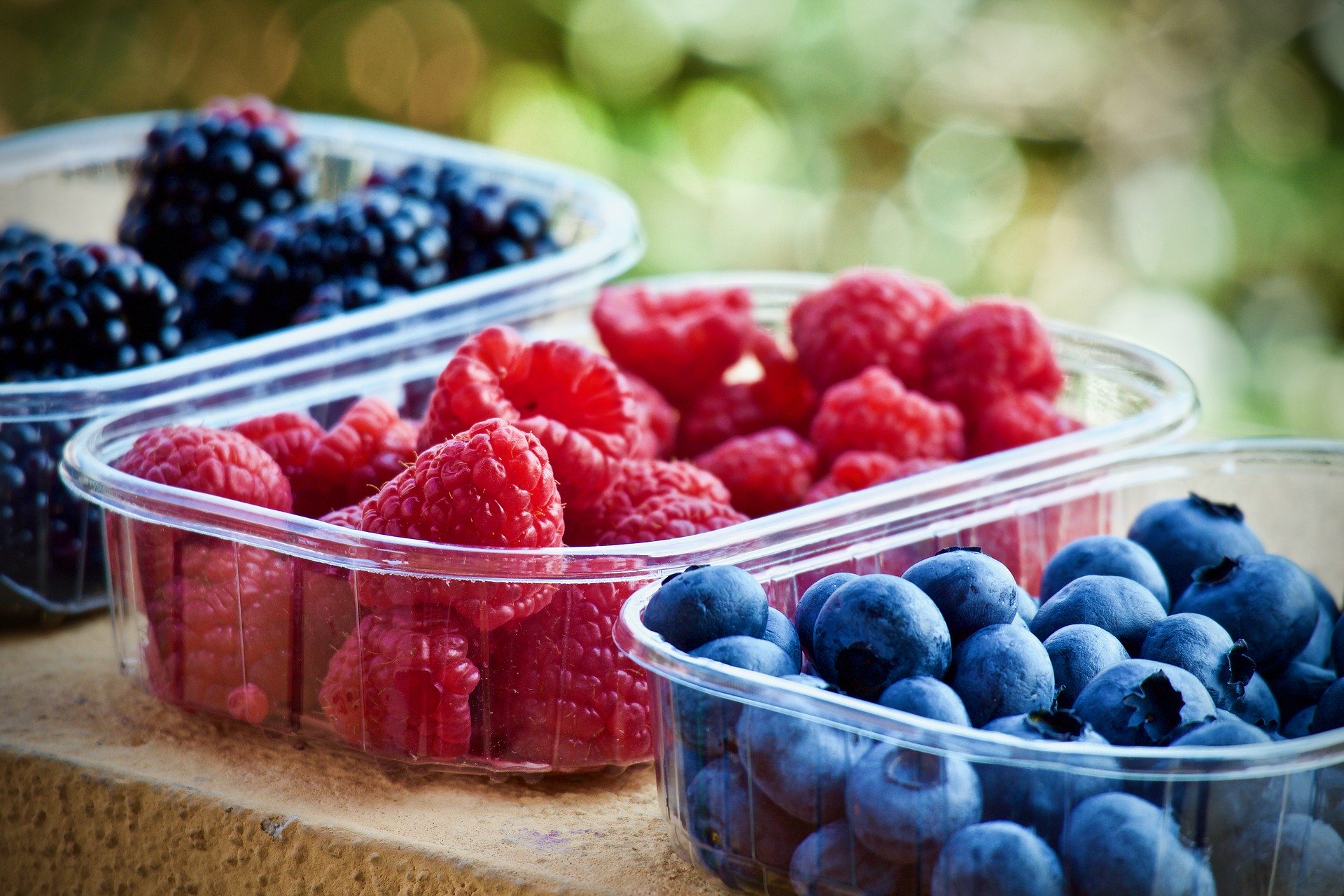 The Summer Berry reformula a sua estratégia e enfrenta a pandemia
