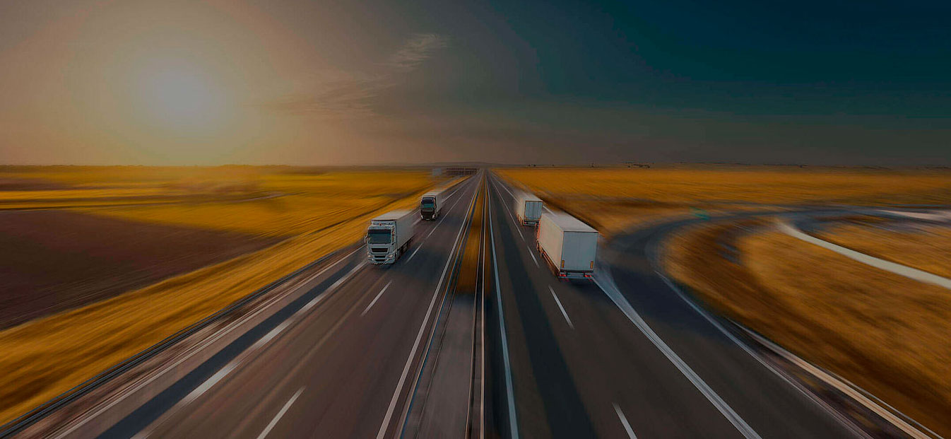 Wtransnet fecha o ano com ofertas de carga positivas