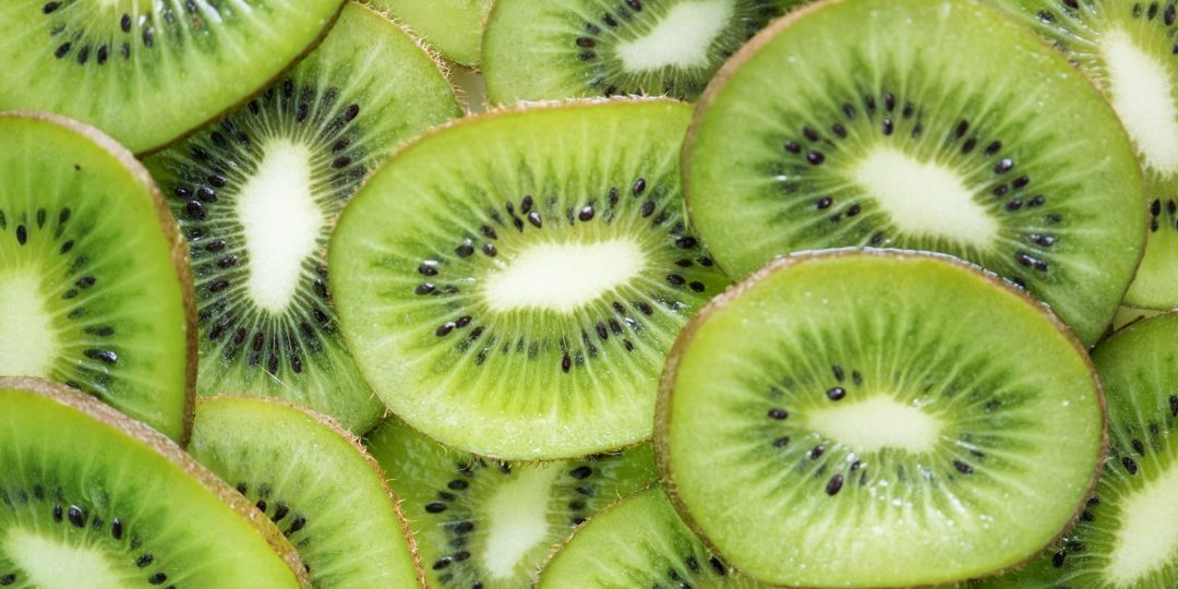 Kiwi Greensun expande armazém graças ao crescimento registado em 2020