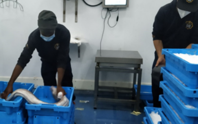 Parceria inédita permite entregas de pescado fresco em 24 horas
