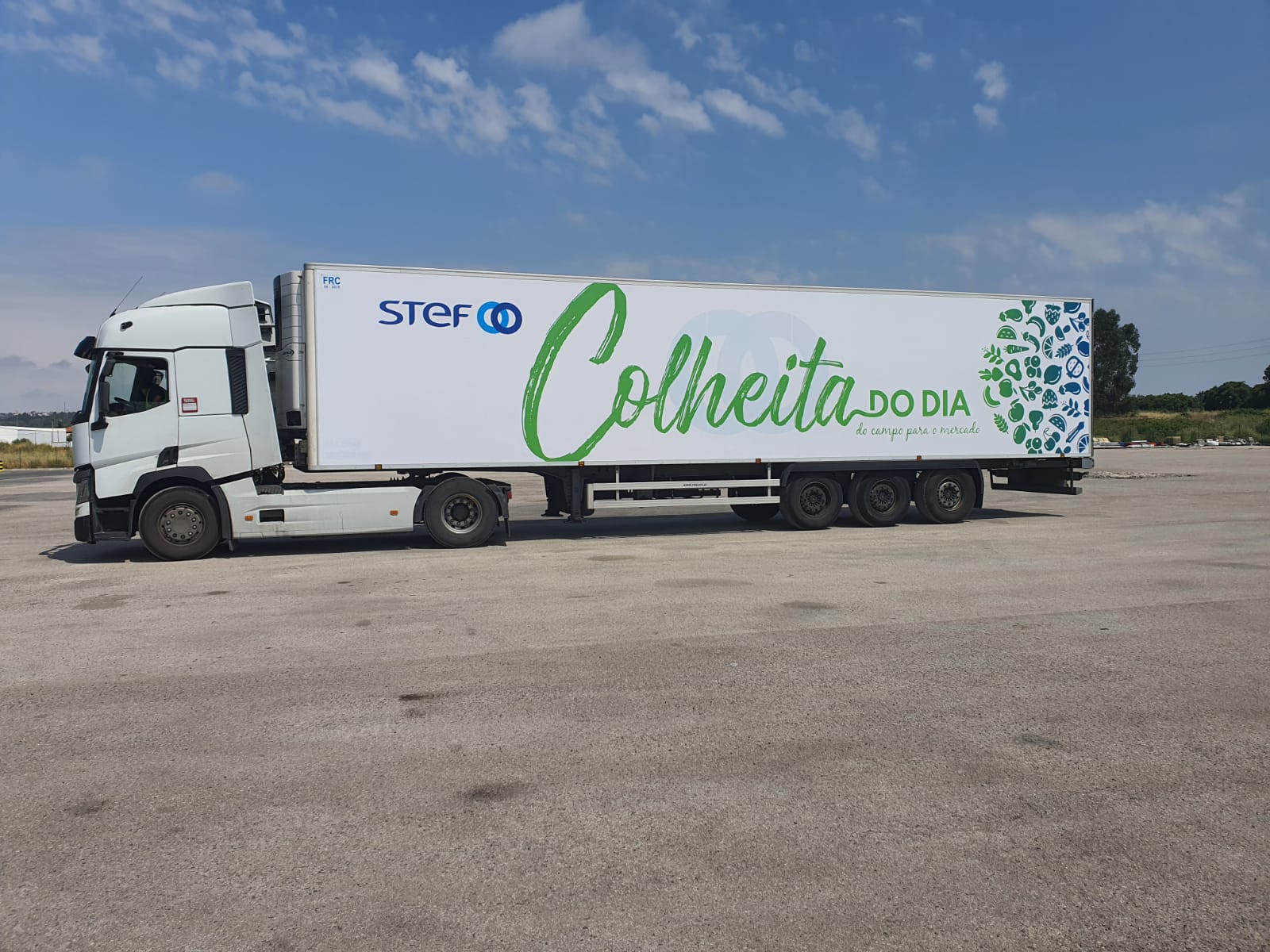 STEF Portugal lança novo serviço para o mercado das Frutas e Legumes