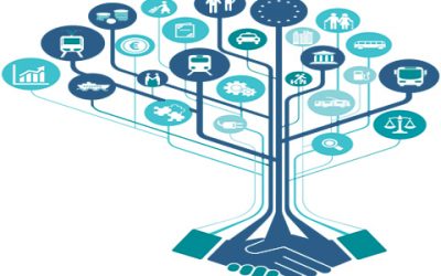 APCADEC e CMS Portugal debatem novas regras da contratação pública