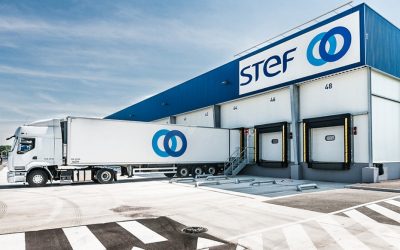 Stef cresce 21,7% no segundo trimestre