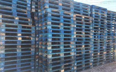 Lusiaves recebe Certificado de Sustentabilidade