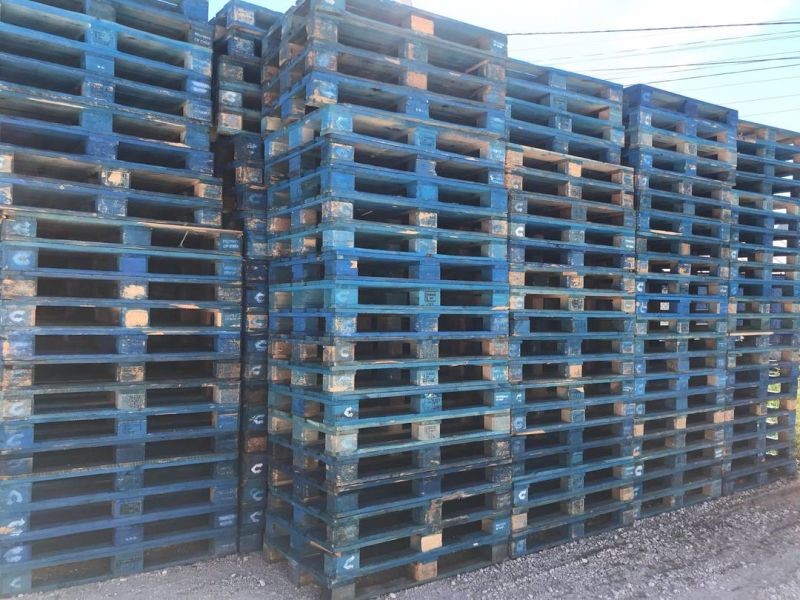 Lusiaves recebe Certificado de Sustentabilidade
