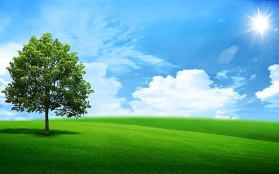 Fornecedores têm um papel importante para a neutralidade carbónica