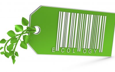 A urgência de “modeficar”