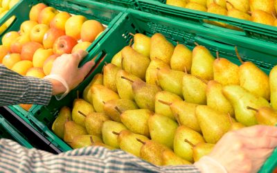 Parceria entre AICEP e Mercadona visa atrair mais fornecedores portugueses