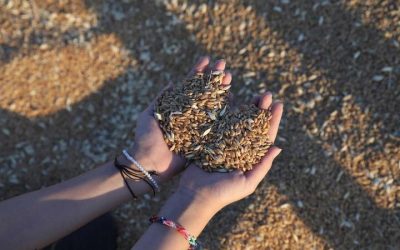 Escassez de matérias-primas está para durar