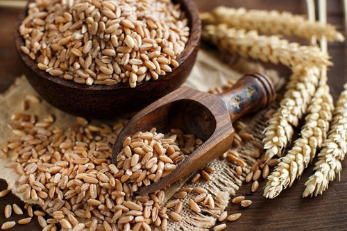Preços internacionais de alimentos aceleraram aumento
