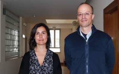 Pré-fabricação pode reduzir custos e impactos ambientais da construção 