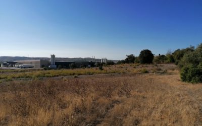 Operador logístico internacional adquire terreno de 50.000 metros quadrados no Carregado