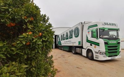 Olano vai transportar 11 mil toneladas de laranja do Algarve para França