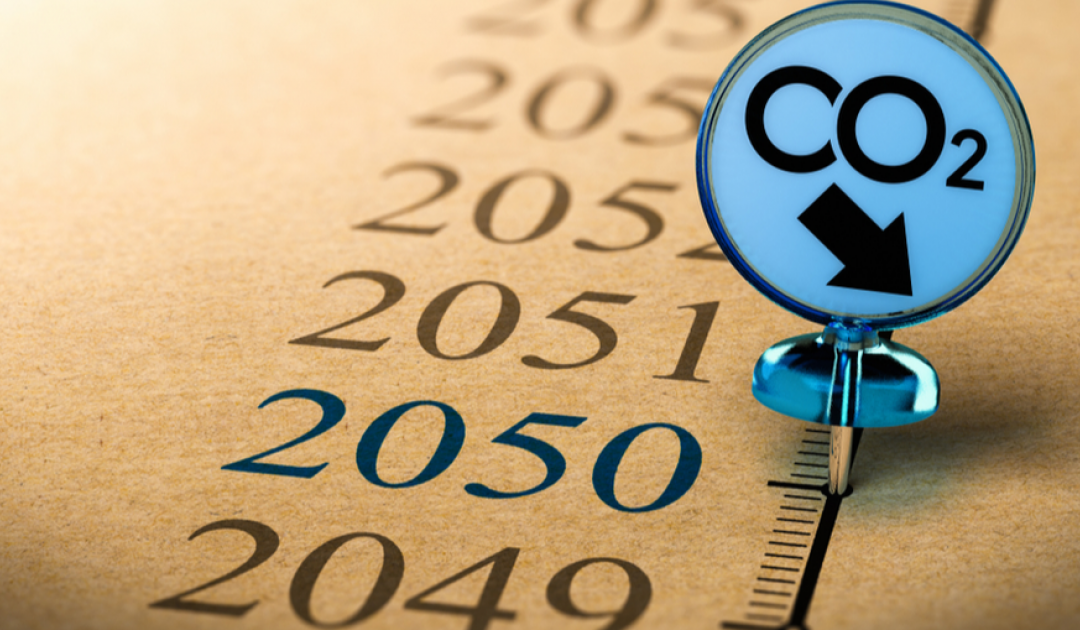McKinsey avalia transformação económica necessária para a descarbonização em 2050