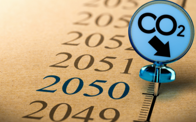 McKinsey avalia transformação económica necessária para a descarbonização em 2050