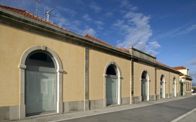 Alfândega de Leixões alarga horário de funcionamento ao sábado