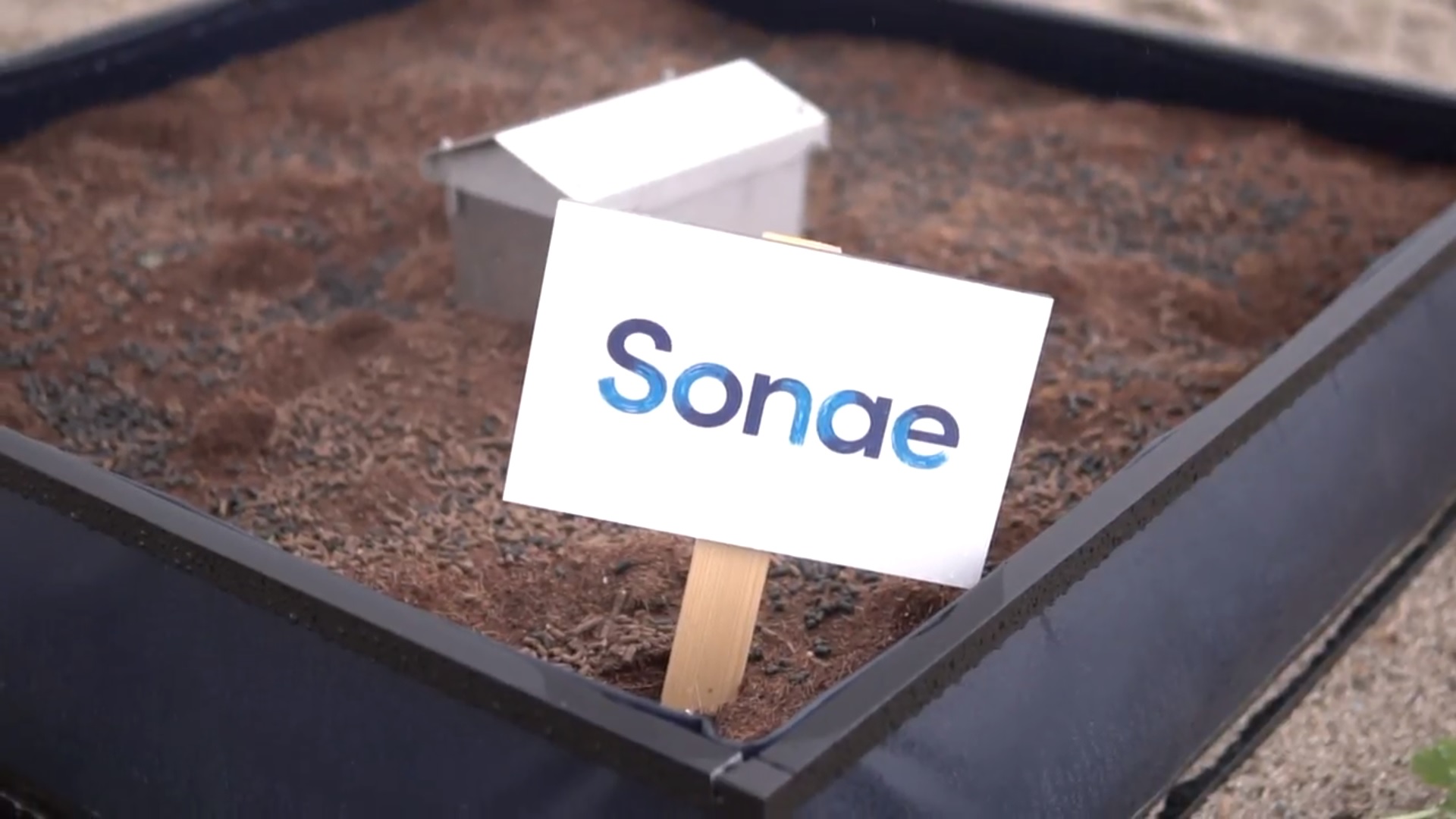Sonae cria horta comunitária na cobertura de armazém no Sonae Campus