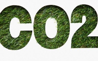 Procurement sustentável: 5 passos da GSK