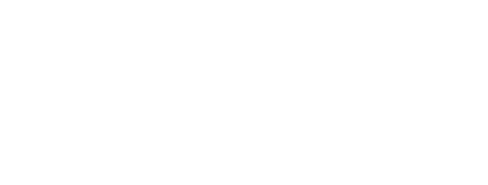 bolas procurement2