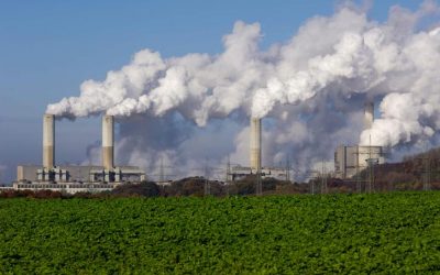Quatro empresas líderes combatem as emissões na cadeia de abastecimento