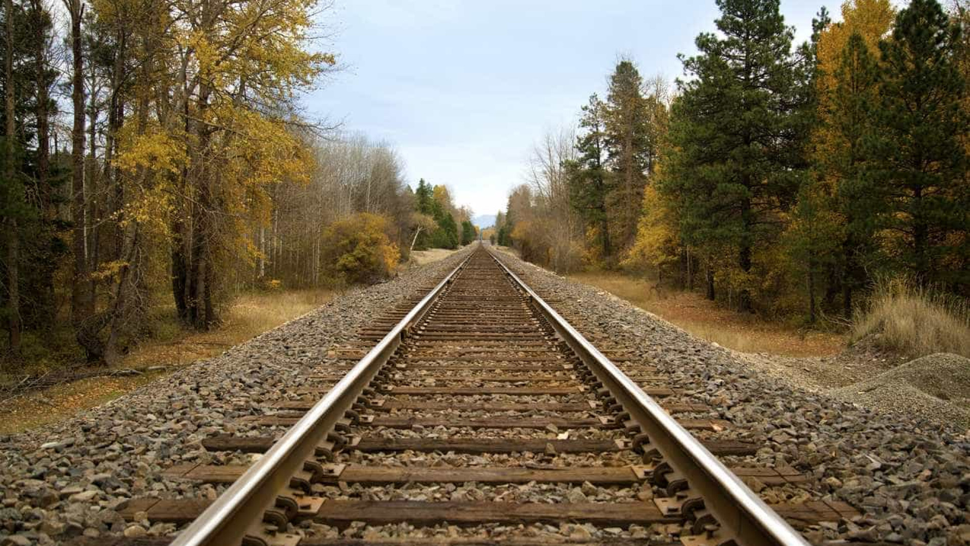 Trás-os-Montes defende linha ferroviária de alta velocidade entre Porto e Zamora