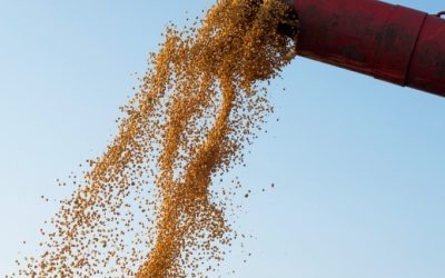 Exportações de soja e milho para a China rejuvenescem mercado dos EUA