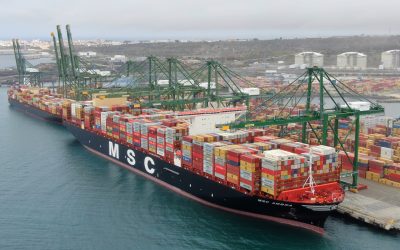 Maior porta-contentores do mundo atraca em Sines