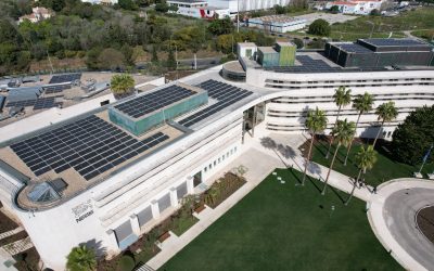 Nestlé Portugal empenhada em reduzir emissões de CO2 na cadeia de abastecimento