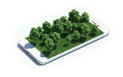 Xiaomi cria plano para reduzir emissões de carbono até 2040
