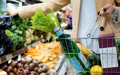 Os desafios da cadeia de abastecimento no setor alimentar e de bebidas