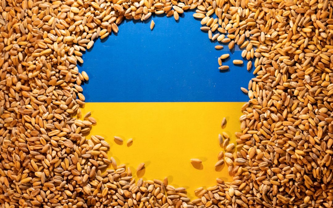 UE espera desbloquear rapidamente a passagem de cereais ucranianos através dos corredores de solidariedade