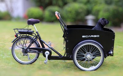 Produção francesa de cargo bikes aumentou 12 vezes desde 2018